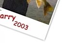 Garry 2003